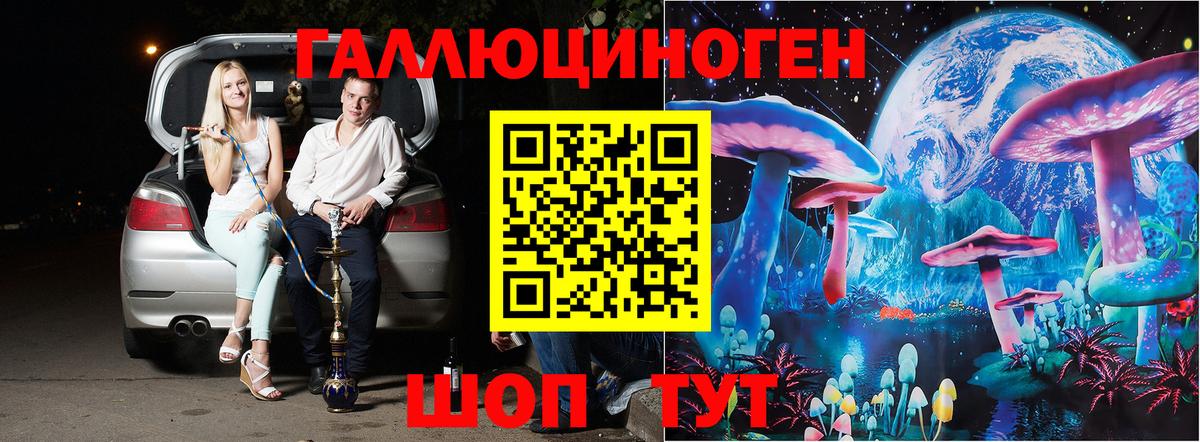 Псилоцибиновые грибы Psilocybine cubensis Ртищево