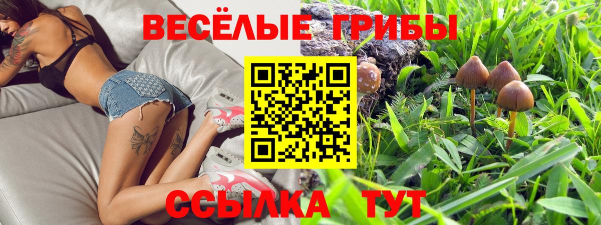 Ртищево  Галлюциногенные грибы MAGIC MUSHROOMS  Вход с VPN 